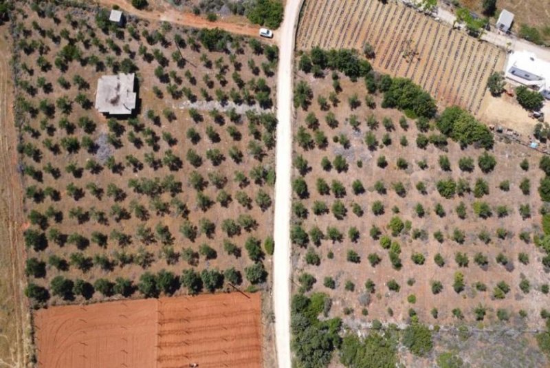 Mouzouras Kreta, Mouzouras: Flaches Grundstück mit Panoramablick zu verkaufen Grundstück kaufen